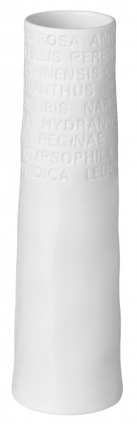 SCHMALE VASE "KLEIN, TEXT"