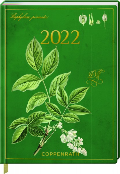 Jahreskalender: Mein Jahr 2022 - Pimpernuss (Augustina)